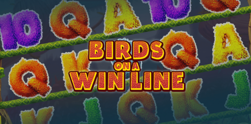 Dr Slot’s Flock: 6 awesome bird facts you never knew